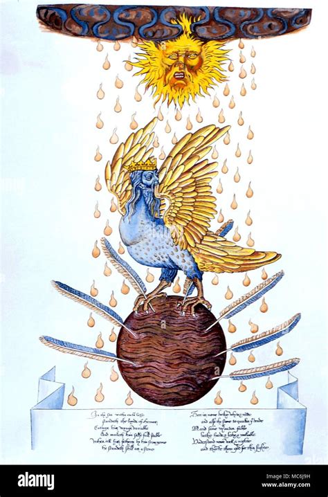 here standeth the bird of hermes|ripley scroll bird of Hermes.